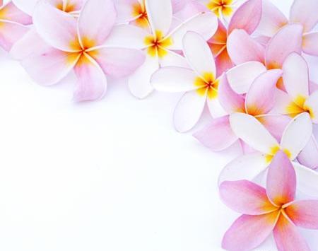 عکس کارتونی گل یاس