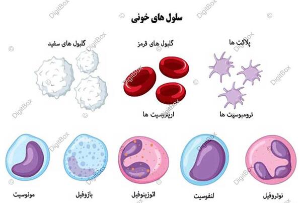عکس کارتونی گلبول سفید