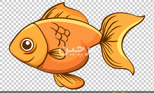 عکس کارتونی ماهی قرمز