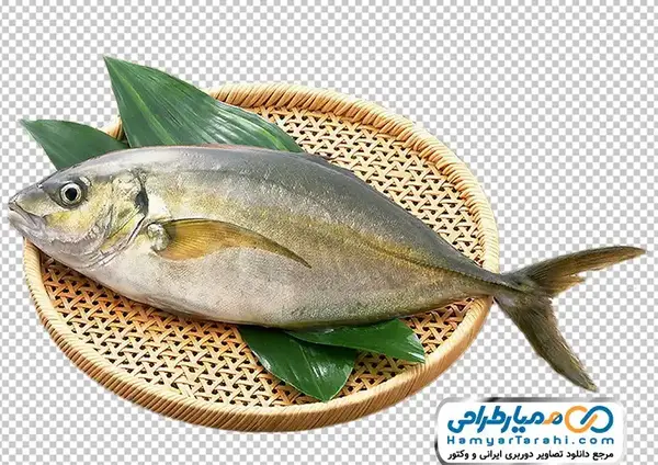عکس کارتونی ماهی خوردنی