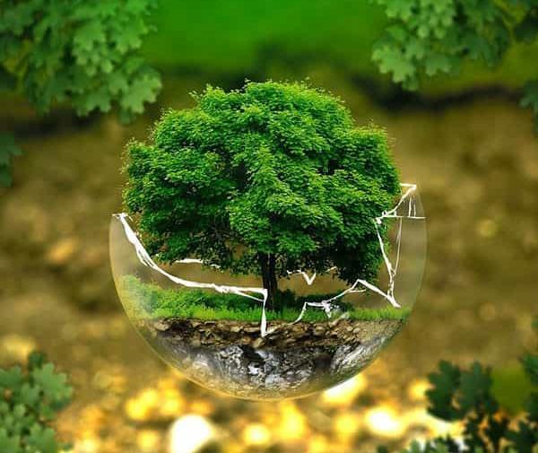 عکس زیبایی از کره زمین