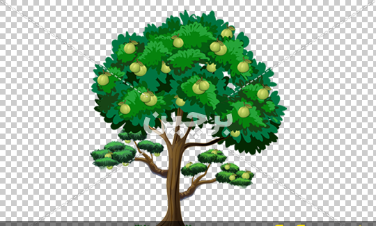 عکس میوه های کارتونی