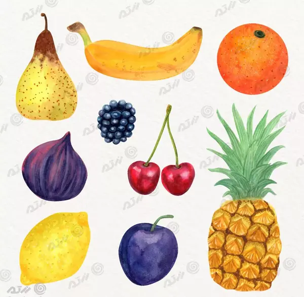 عکس میوه های کارتونی