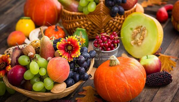 عکس میوه های تابستانی کارتونی