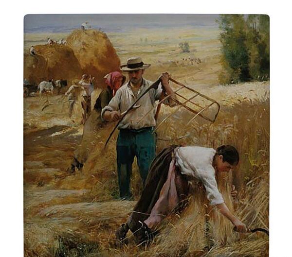 عکس کارتونی مزرعه گندم
