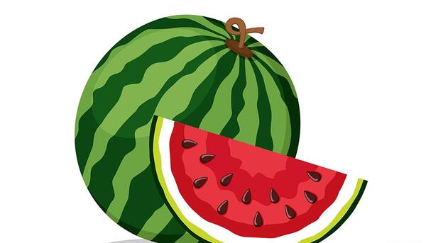 عکس کارتونی هندوانه شب یلدا
