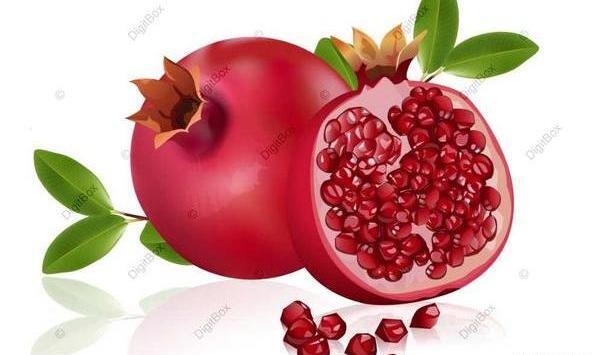 عکس کارتونی انار و هندوانه