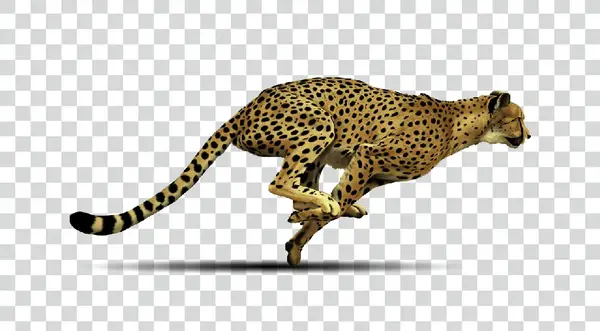 عکس یوزپلنگ کارتونی