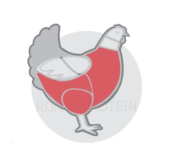 عکس کارتونی گوشت و مرغ