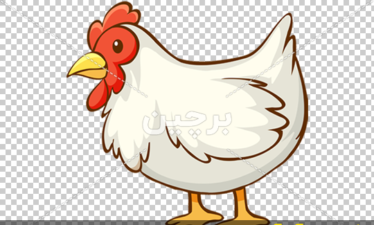 عکس کارتونی گوشت و مرغ