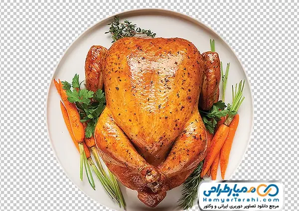 عکس کارتونی گوشت مرغ