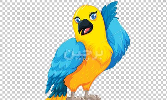 عکس های کارتونی طوطی