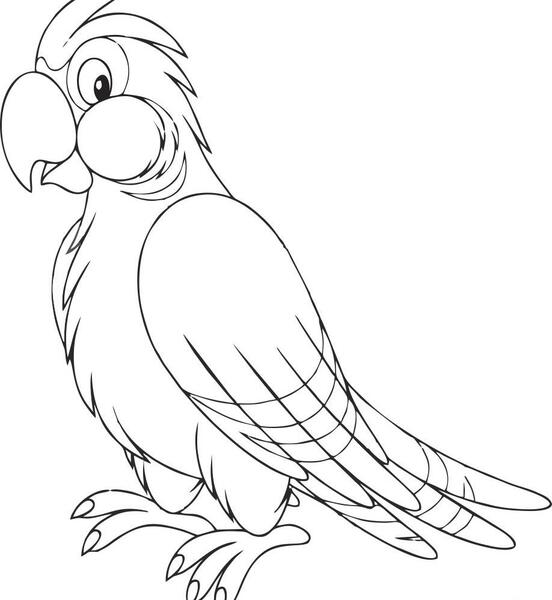 عکس کارتونی از طوطی