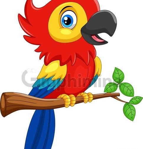 عکس کارتونی از طوطی