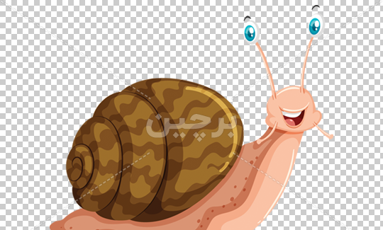 دانلود عکس کارتونی حلزون