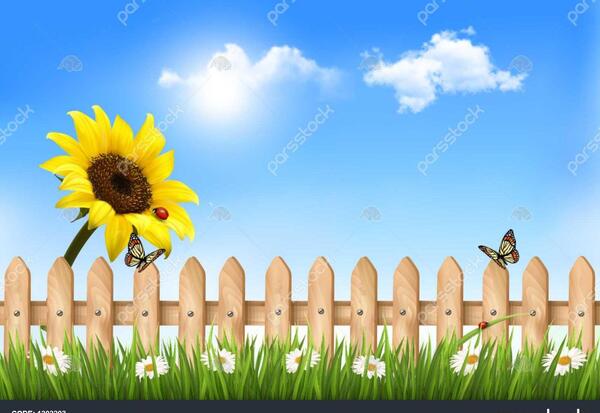 عکس نرده چوبی کارتونی