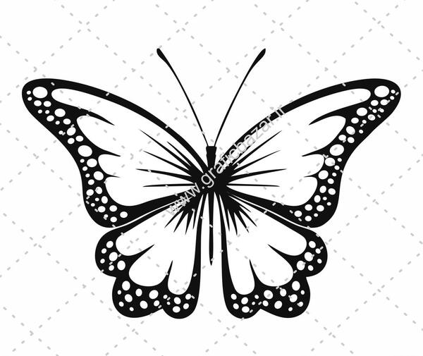 دانلود عکس پروانه کارتونی