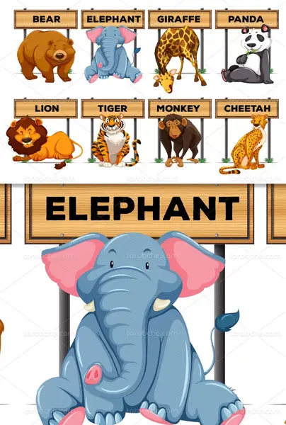 عکس کارتونی حیوانات باغ وحش