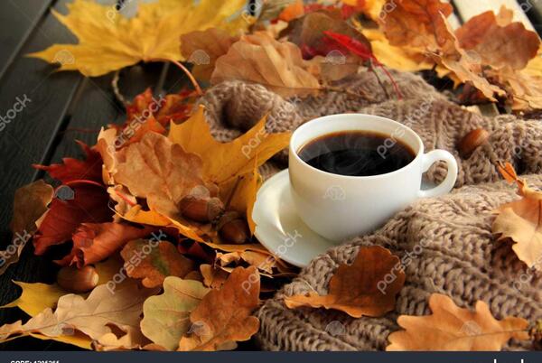 عکس های زیبا از فنجان قهوه