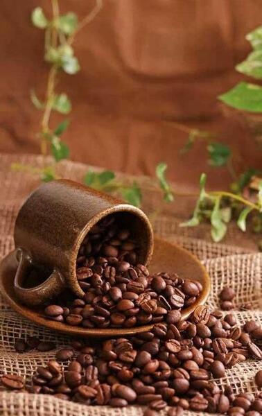 عکس های قهوه ای کیوت