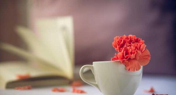 عکس قهوه گل