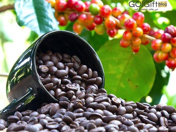 عکس قهوه گل