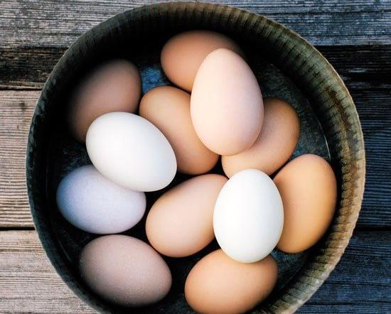 عکس تخم مرغ قهوه ای