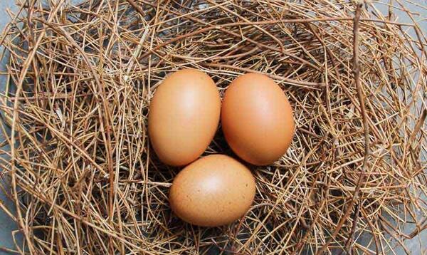 عکس تخم مرغ قهوه ای
