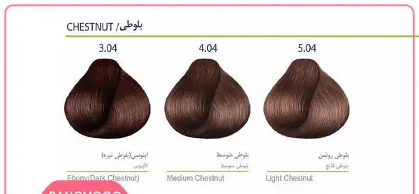 عکس رنگ موی قهوه ای آلامید