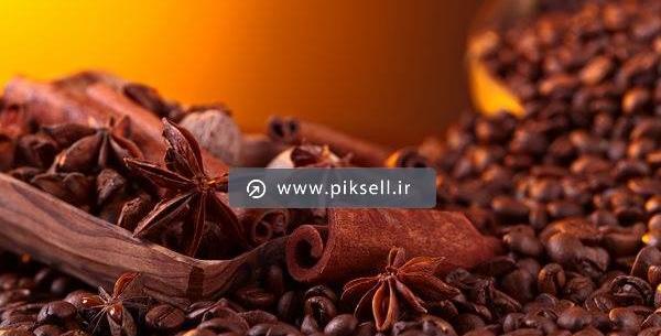عکس میوه درخت قهوه