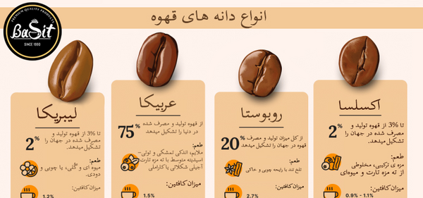 عکس میوه درخت قهوه