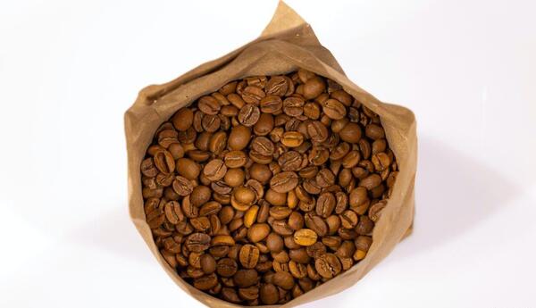 عکس گیاه قهوه ای