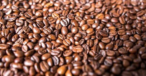 عکس گیاه قهوه ای