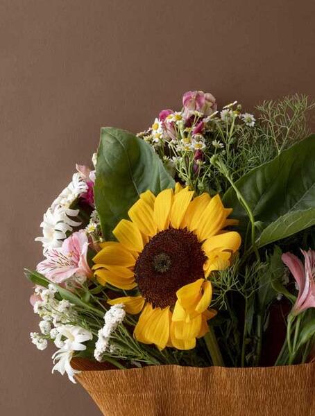 عکس گیاه قهوه ای