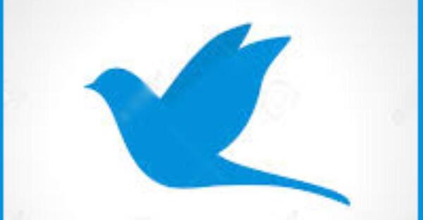 عکس پرنده در فال قهوه