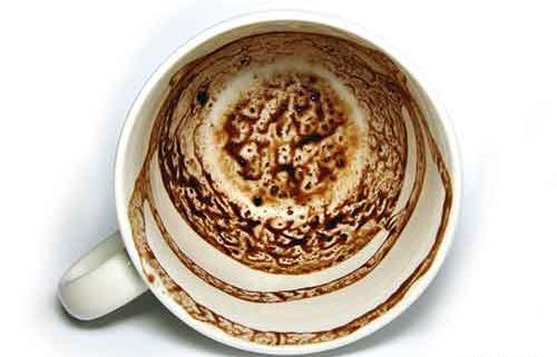 عکس پرنده در فال قهوه