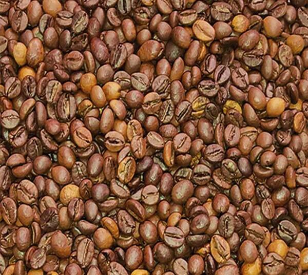 عکس های قهوه فرانسه