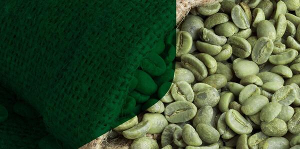 عکس کسانی که با قهوه سبز لاغر شدن