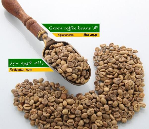 عکس دانه قهوه سبز
