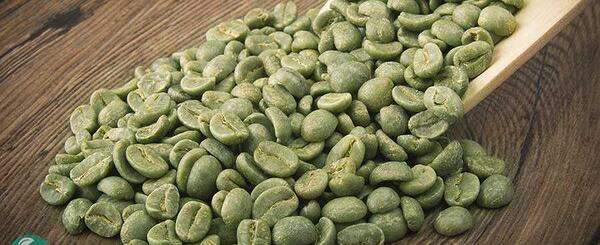 عکس دانه قهوه سبز