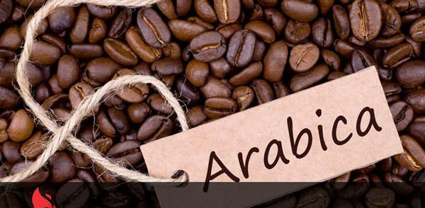 عکس دانه قهوه سبز