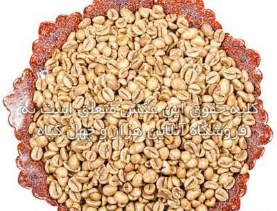 عکس دانه قهوه سبز