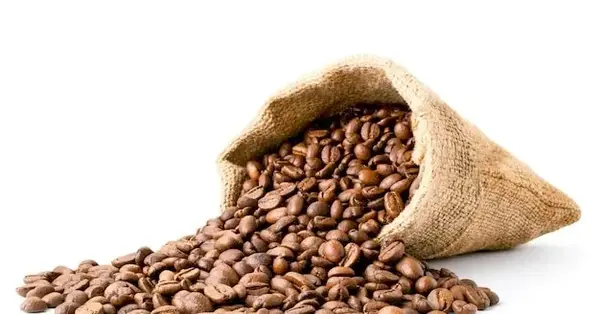 عکس قهوه عربیکا و روبوستا