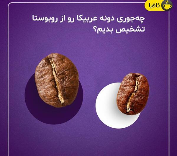 عکس قهوه عربیکا و روبوستا