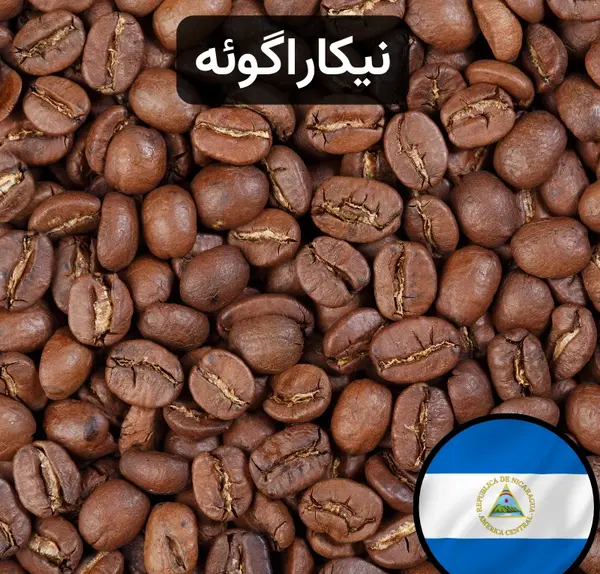 عکس دانه قهوه عربیکا