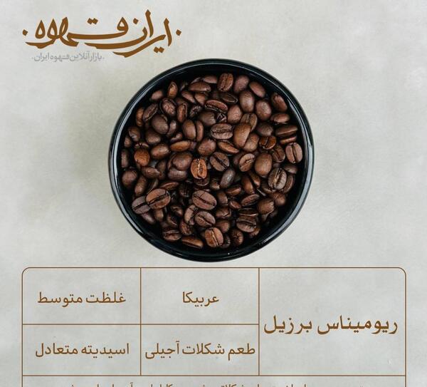 عکس دانه قهوه عربیکا