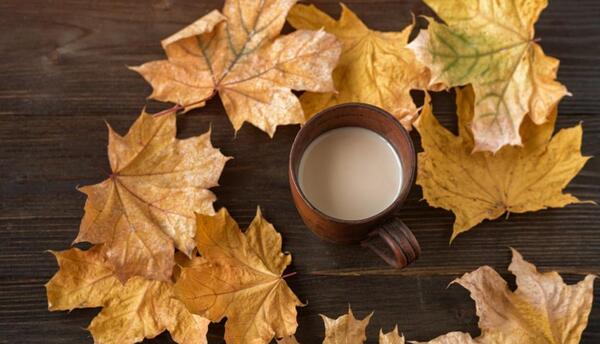 عکس طبیعت قهوه ای