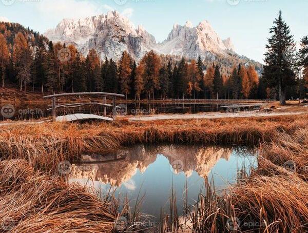 عکس طبیعت قهوه ای