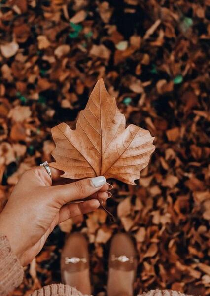 عکس صفحه گوشی قهوه ای