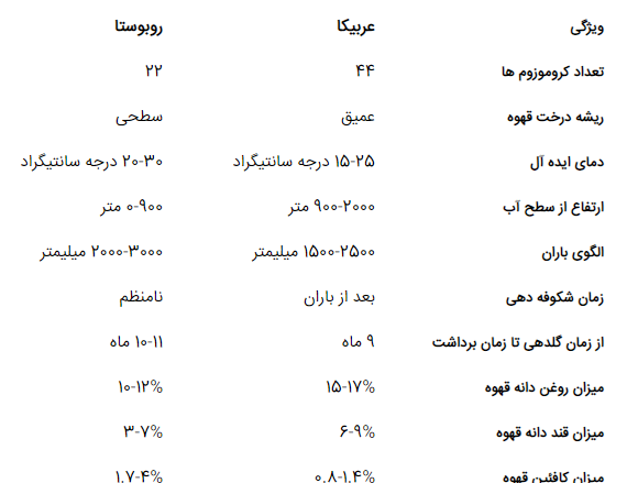 عکس درخت قهوه روبوستا